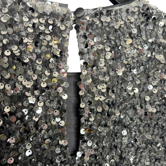 NWT Alex Marie Lia Sequin Velvet Top Silver Crew Neck Short Sleeve Size Small - Picture 6 of 11